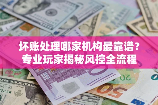 武汉坏账处理哪家机构最靠谱？专业玩家揭秘风控全流程