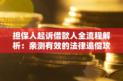 武汉担保人起诉借款人全流程解析：亲测有效的法律追偿攻略