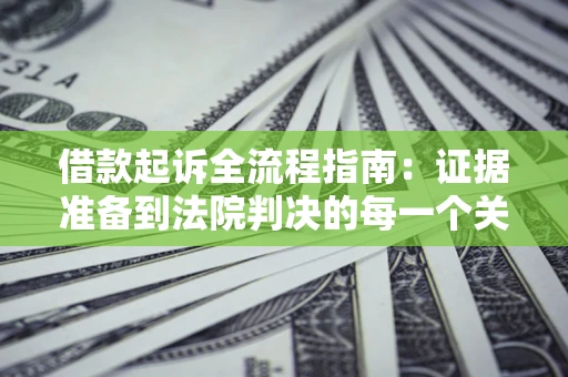 武汉借款起诉全流程指南：证据准备到法院判决的每一个关键步骤