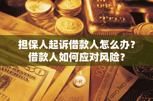 武汉担保人起诉借款人怎么办？借款人如何应对风险？