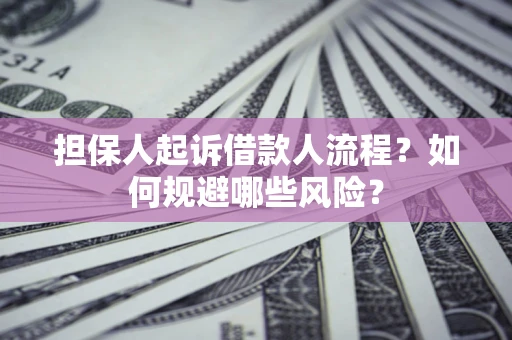武汉担保人起诉借款人流程？如何规避哪些风险？