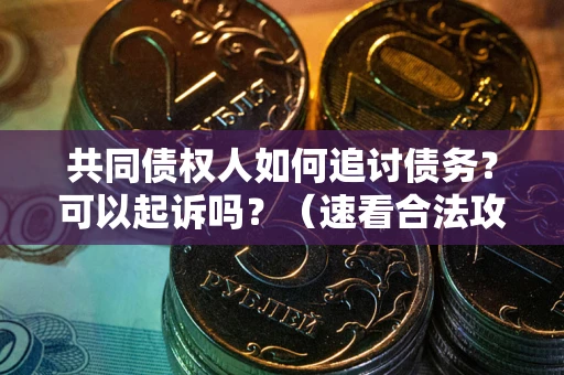 武汉共同债权人如何追讨债务？可以起诉吗？（速看合法攻略）