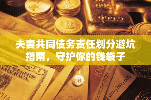 武汉夫妻共同债务责任划分避坑指南，守护你的钱袋子
