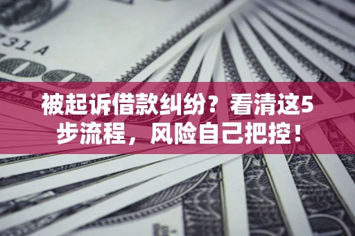 武汉被起诉借款纠纷？看清这5步流程，风险自己把控！